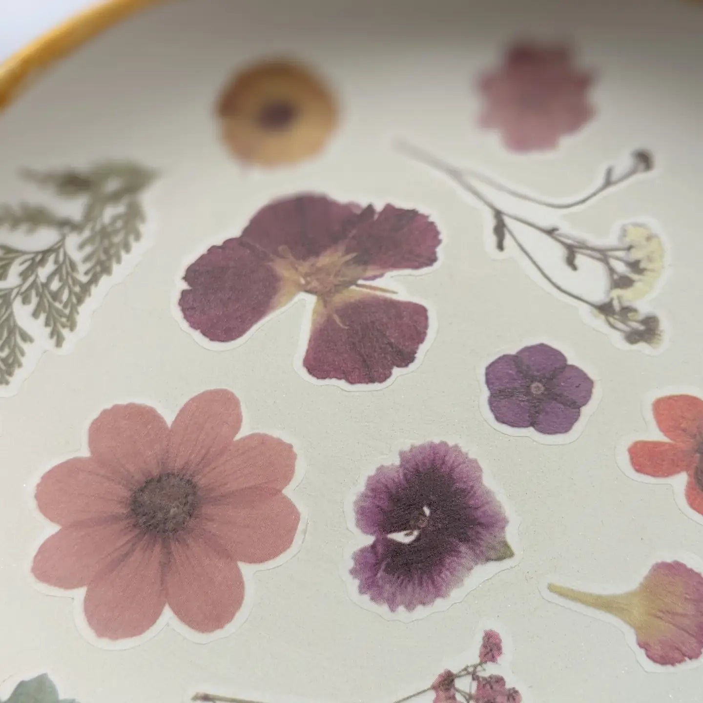 Ceramic Trinket Dish Making Kit