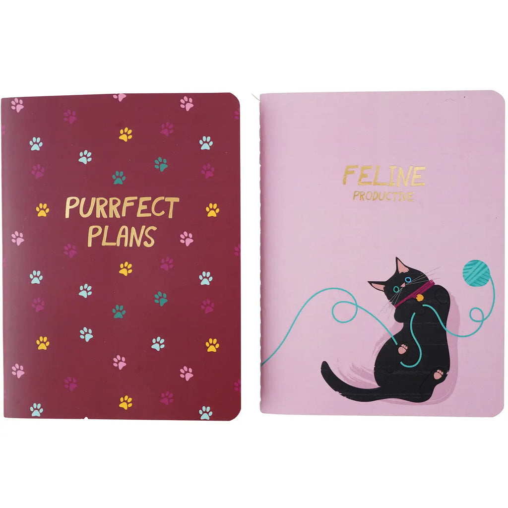 Set of 2 A6 Notebooks