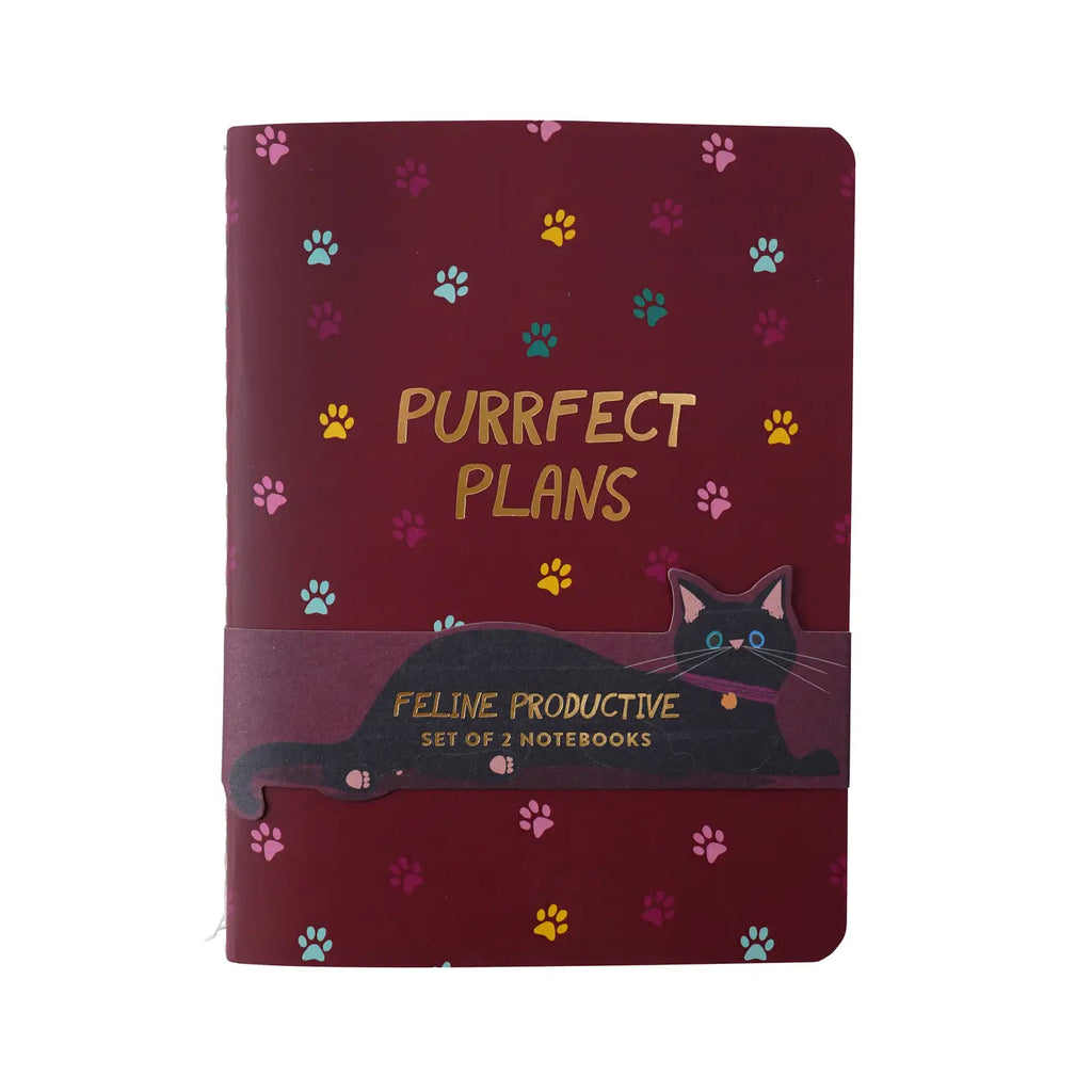 Set of 2 A6 Notebooks